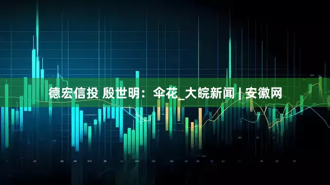德宏信投 殷世明：伞花_大皖新闻 | 安徽网
