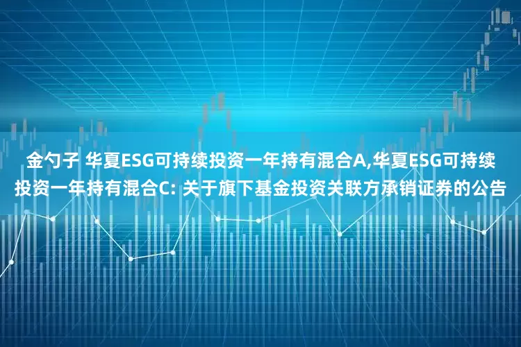 金勺子 华夏ESG可持续投资一年持有混合A,华夏ESG可持续投资一年持有混合C: 关于旗下基金投资关联方承销证券的公告