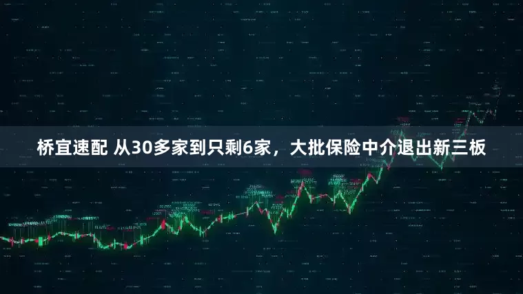 桥宜速配 从30多家到只剩6家，大批保险中介退出新三板